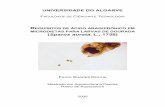 REQUISITOS DE ÁCIDO ARAQUIDÓNICO EM MICRODIETAS … · universidade do algarve faculdade de ciÊncias e tecnologia requisitos de Ácido araquidÓnico em microdietas para larvas