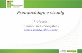 Professor: Juliano Lucas Gonçalves · Agenda •Revisão •Algoritmos •Estrutura de dados •Estrutura básica de um algoritmo em pseudocódigo •Teste de mesa •Operadores