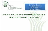 MANEJO DE MICRONUTRIENTES NA CULTURA DA SOJAbrasil.ipni.net/ipniweb/region/brasil.nsf... · Foliar 25 % Absorvido 100 % Apl. Substrato 11 % Absorvido O B aplicado no substrato foi