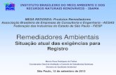 Remediadores Ambientais - az545403.vo.msecnd.netaz545403.vo.msecnd.net/uploads/2013/09/Marcio-IBAMA-remediadores... · do Meio Ambiente e Recursos Naturais Renováveis-IBAMA para