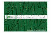 Proteção Florestal – Centro de Tecnologia Unidade ... · Projeto Losango - RS PROTEF – Levantamento e Identificação de Acromymex spp. na Fibria RS | Novembro de 2010. Título
