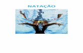 NATAÇÃO · Origem e Evolução da Natação Origem Os primeiros vestígios históricos que fazem referência à natação apareceram no Egipto, no ano 5.000 a.C., nas pinturas ...
