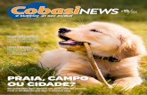 NEWS - agencia7ways.com.bragencia7ways.com.br/clientes/cobasi/site/Revista-Cobasi-201703.pdf · descendente do techichi, um cão pequeno da América Central. O próprio nome Chihuahua