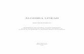 ÁLGEBRALINEAR - Portal PUC Minas · Prefácio A origem desse livro de Álgebra Linear remonta a um curso feito para alunosdoBachareladoemMatemáticadaUFMG.Naocasião,ﬁzemosuma