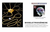 Profa Silvia Mitiko Nishida Depto de Fisiologia · BIOELETROGÊNESE Propriedade de certas células (neurônios e células musculares) gerar e alterar a diferença de potencial elétrico