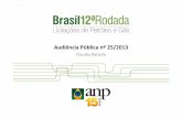 Audiência Pública nº 25/2013 - rodadas.anp.gov.brrodadas.anp.gov.br/arquivos/Round_12/Consulta_audiencia_R12/r12... · • Dados de poços, sísmica, gravimetria, magnetometria