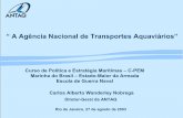 A Agência Nacional de Transportes Aquaviários”web.antaq.gov.br/Portal/pdf/palestras/46-Palestra escola naval... · Marinha do Brasil – Estado-Maior da Armada Escola de Guerra
