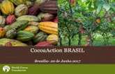 CocoaAction BRASIL - agricultura.gov.br · •Apoiar para uma boa imagem organizacional da cadeia do cacau e chocolate, alinhadas com as demandas do consumidor por autenticidade e