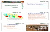 Elementos condicionantes do desenvolvimento regionalodiliosepulcri.com.br/pdf/Mercado_agricola_FBel.pdf · do desenvolvimento regional ... seja, em uma série de Vantagens e Desvantagens