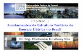Capítulo: 3 Fundamentos da Estrutura Tarifária de Energia …clodomirounsihuayvila.weebly.com/uploads/1/0/2/1/10218846/aula_3.2... · (a) Demanda contratada na concessionária nos
