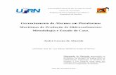 Gerenciamento de Alarmes em Plataformas Marítimas de ... · Engenharia de Petróleo da UFRN (área de concentração: Automação na Indústria de Petróleo e Gás Natural) como