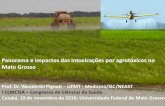 Panorama e impactos das intoxicações por agrotóxicos no ...petmedicina.com/wp-content/uploads/2017/02/CONCISA-e-agrotox... · •Adjuvantes (adesivos, solventes e surfactantes).