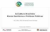 Avicultura Brasileira Riscos Sanitários e Políticas Públicassisca.com.br/pdf/09-FernandoBuchala.pdf · Exporta ovos férteis para Oriente Médio, ... Ministério da Agricultura,