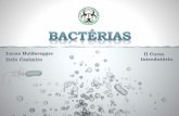 Estrutura geral e replicação.files.ligadeinfecto.webnode.com.br/200000044-c7d26c8cc2/Bactérias.pdf · Staphylococcus -São patógenos ... - Os estafilococos são membros da microbiota