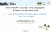 MESA REDONDA: Diversidade e distribuição geográfica de ... M... · Filogenia dos fungos baseada nas seqüências do rRNA SSU 230 espécies de FMA são conhecidas (Schüßler and