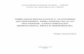 (SILURIFORMES: PIMELODIDAE) NO ALTO RIO PARANÁ ... · alimentar (IAi) das categorias alimentares de Pimelodus maculatus e Pimelodus platicirris amostrados no rio Araguari, MG ...