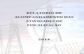 RELATÓRIO DE ACOMPANHAMENTO DAS ATIVIDADES DE … Relatório de Acompanhamento das Atividades de Fiscalização - 2014 2 demandas de fiscalização, possibilitando a alocação de