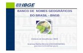 BANCO DE NOMES GEOGR ÁFICOS DO BRASIL -BNGB · • Alguns Resultados – Participação no GT de Banco de Dados e Gazetteers do Grupo de Peritos da ONU em Nomes Geográficos; –
