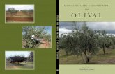 Manual da Safra - bibliotecadigital.ipb.pt · A alternância, também designada de safra e contra-safra, é um problema comum a várias fruteiras de onde se destacam a oliveira, a
