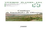 Catálogo de Variedades de Oliveiras - plansel.com · * Folhas de tamanho médio, planas, de forma eliptico-lanceolada. * Fruto médio, de forma alargada, diâmetro máximo perto