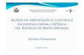 Ações de prevenção e controle da doença renal crônica no ...arquivos.sbn.org.br/pdf/aulas_0612_tarde/vander.pdf · Pirâmide Populacional. Mato Grosso, 1980 e 2012 ... Excluído