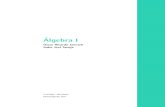 Álgebra I - Abertura - Lauramtm.grad.ufsc.br/files/2014/04/Álgebra-I.pdf · 2.2 Anéis de matrizes ... conjunto A devem satisfazer para que possamos fazer contas em A de forma semelhante