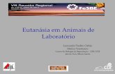 Eutanásia em Animais de Laboratório - fesbe.org.br · Considerações • Diversos métodos podem ser utilizados, dependendo da espécie animal, da necessidade particular de coleta