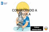 CONHECENDO A CÉLULA - monteirolobatomaceio.com.br · COMPOSIÇÃO QUÍMICA DA CÉLULA •Inorgânicas Água (80% da composição da célula) – funciona como solvente, transporta