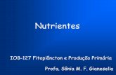 Nutrientes - · PDF file– baixa [nutrientes] essenciais e baixa produtividade pesqueira • Águas eutróficas: – Alta [nutrientes], alta densidade de fitoplâncton, alta produção