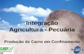 Integração Agricultura - Pecuária · Confinamento Bertin em Aruanã - GO Curral de manejo (2.000 bois /dia) Escritório Depósito de ingredientes da ração 6 galpões de 10 mil