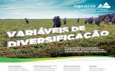 Viagem técnica amplia horizontes por incrementos na produção …agrariasementes.com.br/extranet/arquivos/portal_informativo/2016_8.pdf · cooperados, foi organizada uma viagem