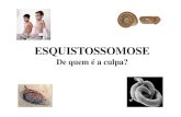 ESQUISTOSSOMOSE - lineu.icb.usp.brlineu.icb.usp.br/~farmacia/ppt/esquistossomose13.pdf · OXAMNIQUINE: Possível paralisia e destacamento do parasito das veias mesentéricas (antigadroga
