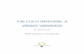 CÁLCULO INTEGRAL A VÁRIAS VARIÁVEIS - silabas-e … · diferencial a várias variáveis, O essencial [5] – mas também conhecimentos de cálculo diferencial e integral de funções