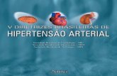 Sociedade Brasileira de Cardiologia – SBCitpack31.itarget.com.br/uploads/sbh/arquivos/14.pdf · Presidente: Sérgio Roberto Haussen Representante: Ayrton Massaro ... 2 II Consenso