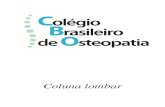 Coluna lombar - cbosteopatia.com.brcbosteopatia.com.br/wp-content/uploads/2017/04/Coluna-lombar... · Coluna Lombar COLÉGIO BRASILEIRO DE OSTEOPATIA Página 6 do módulo, compreendendo