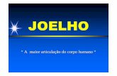 Joelho Condromalacia Plica - luzimarteixeira.com.br · Teste do bocejo articular ( lig . colaterais ) Teste do sinal da gaveta ( lig . cruzados ) Teste de posteriorisação da tíbial