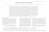 74 Agri agroecologia Bananicultura orgânica - Principalainfo.cnptia.embrapa.br/digital/...organica-art-7-IA287-Dez2015.pdf · Mandioca e Fruticultura, no ecossistema Mata Atlântica,