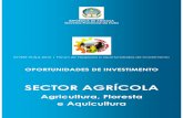 INVESTHuila S.Agricola PTinvesthuila.com/beta/wp-content/uploads/INVESTHuila_S.Agricola_PT1.pdf · O projecto de construção da Central Mini-Hídrica e a ... Culturas como o tomate,