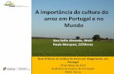 A importância da cultura do arroz em Portugal e no Mundo · A Índia é o país do mundo com maior área cultivada de arroz - 44 Mha Em volume produz menos do que a China - 202 vs