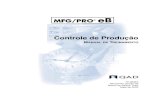 Controle de Produção - QAD Files/Translated QAD Guides/Portugese/70... · • Uma visão geral das questões importantes do negócio • Preparação do módulo de Controle de Produção
