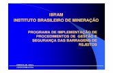 IBRAM INSTITUTO BRASILEIRO DE MINERA ÇÃO Pimenta... · necessidades de investigações geológico-geotécnicas, como preparar documentos de contratação das obras de barragens,