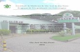Faculdade de Medicina de São José do Rio Preto Programa de ...bdtd.famerp.br/bitstream/tede/345/2/tiagoamaschiodelima_dissert.pdf · baseada em evidências, ... otimização da