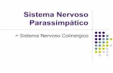 Sistema Nervoso Parassimpático - w3.ualg.ptw3.ualg.pt/~cfonseca/Quimica Farmac/PDF/SNP_Colinergico.pdf · = Sistema Nervoso Colinergico. Neurotransmissor SNP zAcetilcolina (Act)