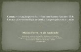 Maiza Ferreira de Andrade - Página inicial · Revisão de literatura Dissertação: A contaminação por chumbo em Santo Amaro-BA: a ciência e o mundo da vida no estuário do Rio