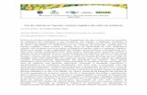 Uso de coberturas vegetais e manejo orgânico dos solos em ...banana-networks.org/musalac/files/2015/11/Ana-Lucia-Borges-Erval... · Uso de coberturas vegetais e manejo orgânico