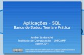 Aplicações – SQL · Aplicações – SQL Banco de Dados: Teoria e Prática André Santanchè Instituto de Computação – UNICAMP Agosto 2011 Estes slides são concedidos sob