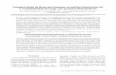 Patogenicidade de Beauveria bassiana ao psilídeo ...swfrec.ifas.ufl.edu/hlb/database/pdf/00003065.pdf · com óleo mineral, e cultivado em placas com meio batata -dextroseágar (BDA),