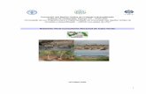 Relatório Final Consultoria Nacional de Cabo Verde - fao.org · enfrentam a ameaça da desertificação com diferentes níveis de intensidade e incidência territorial. Da mesma