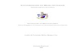 Lurdes da Concei§£o Relvas Marques Vaz - FINAL.pdf  Through the reading and comprehension of the