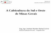 A Cafeicultura do Sul e Oeste de Minas Geraisfundacaoprocafe.com.br/downloads/SuldeMinasAWRGarcia.pdf · pequenas propriedades, que absorvem grande número de pessoas na atividade.